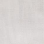Iridescent White